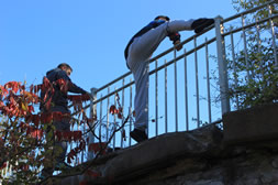 Guy climbing over railing
